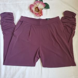 NWT Express stretchy ankle pants